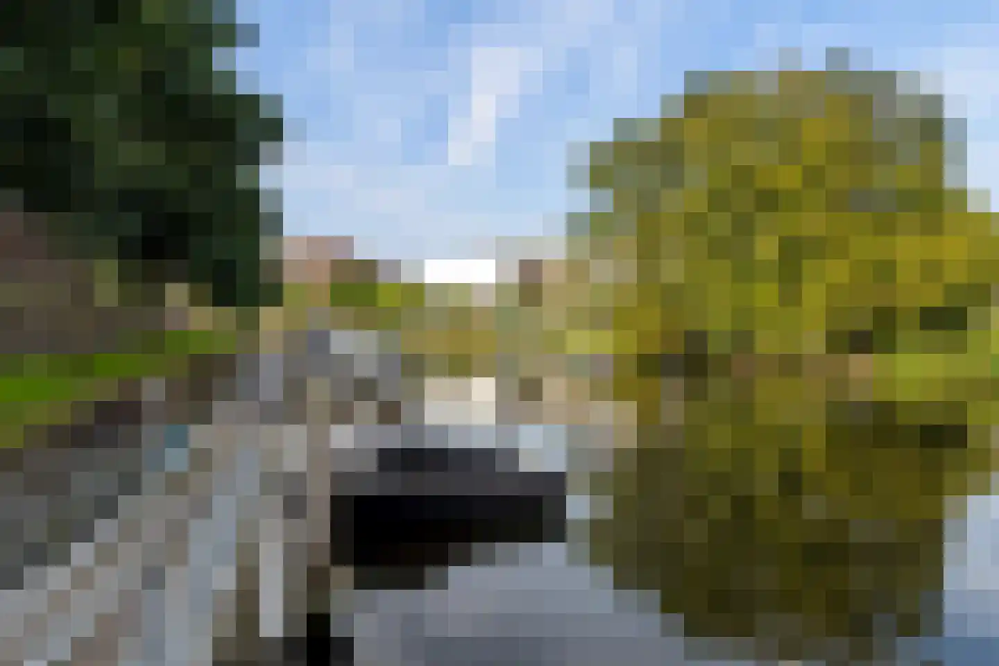 Maagjesbolwerk 59 Zwolle thumbnail 52