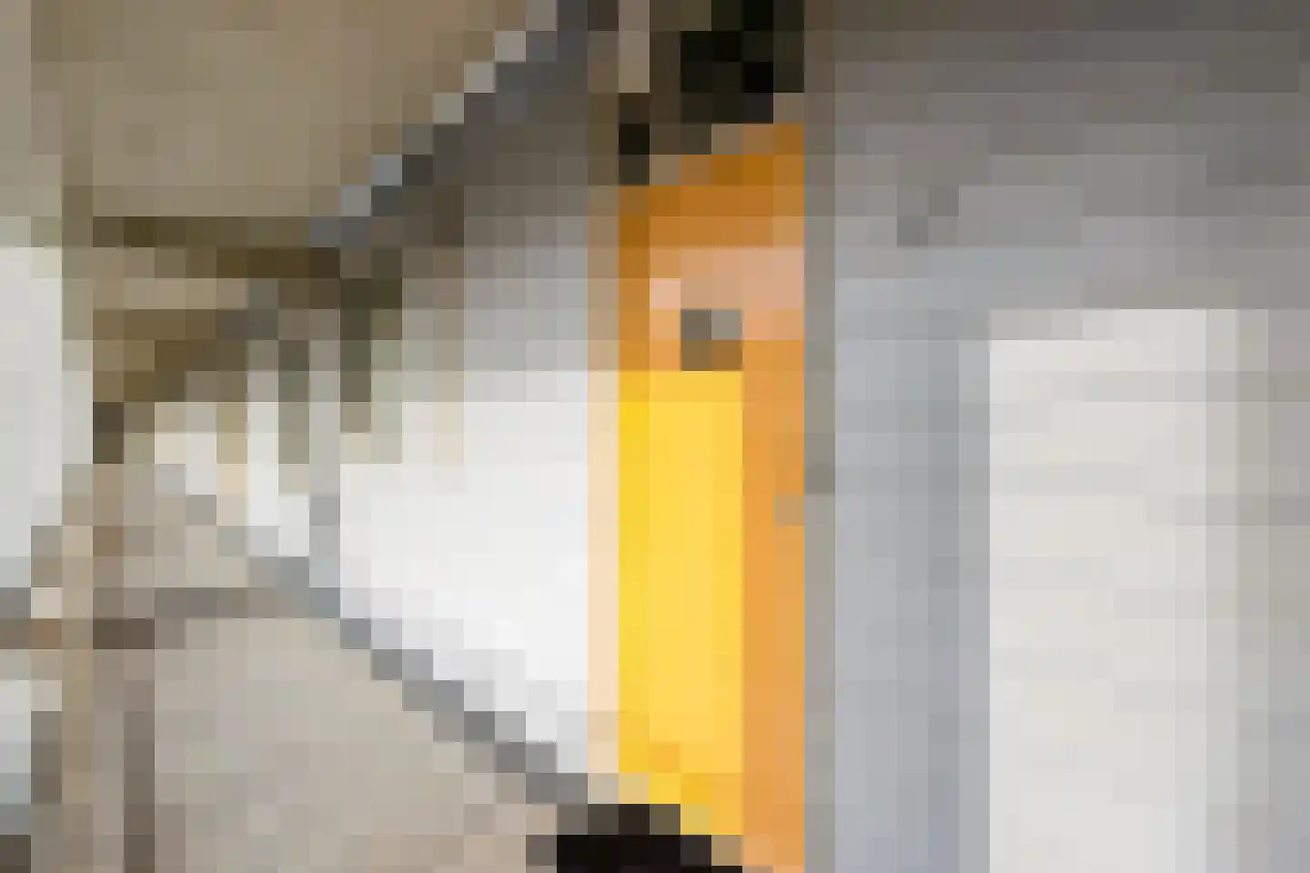 Maagjesbolwerk 59 Zwolle thumbnail 8