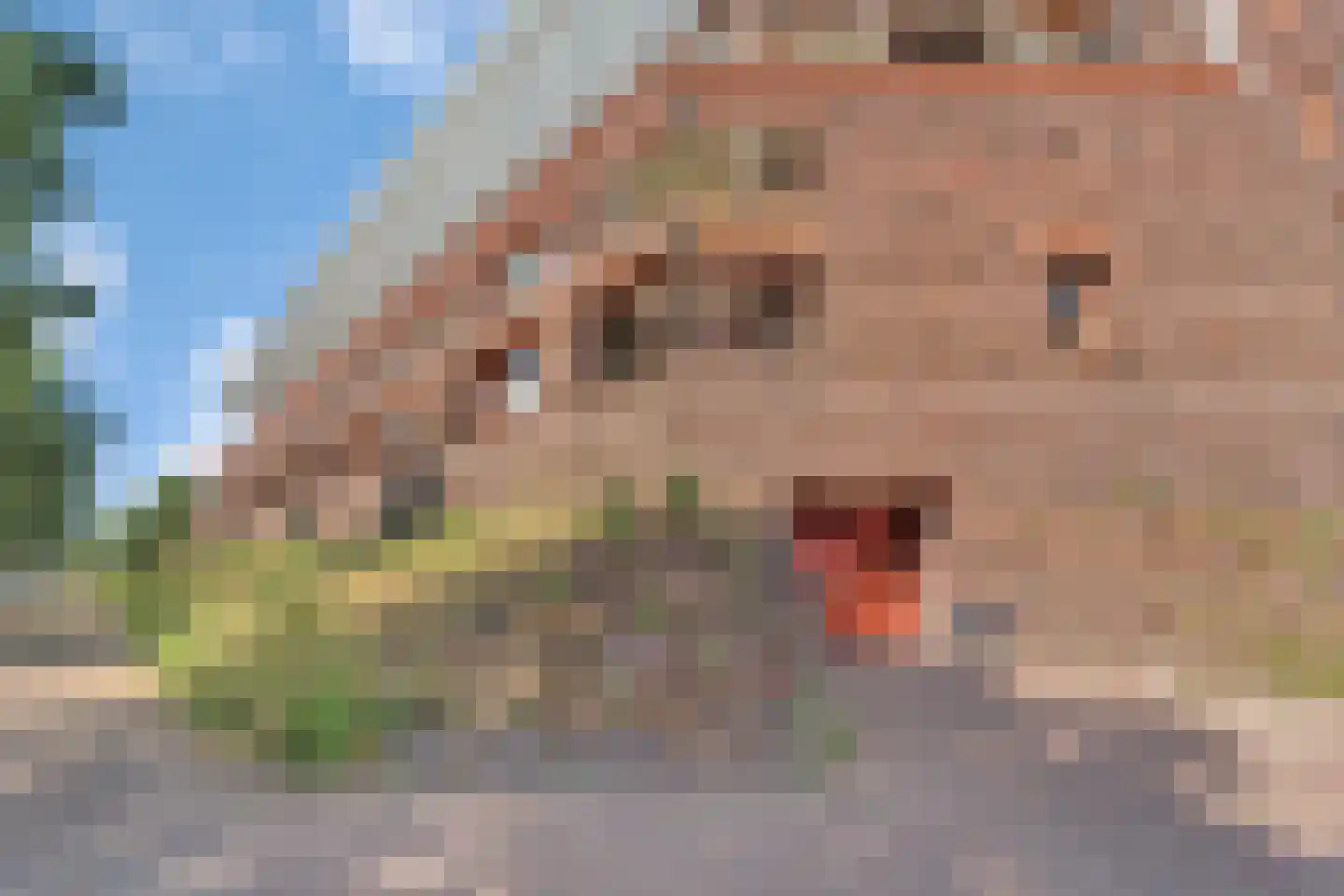 Maagjesbolwerk 75 Zwolle thumbnail 28