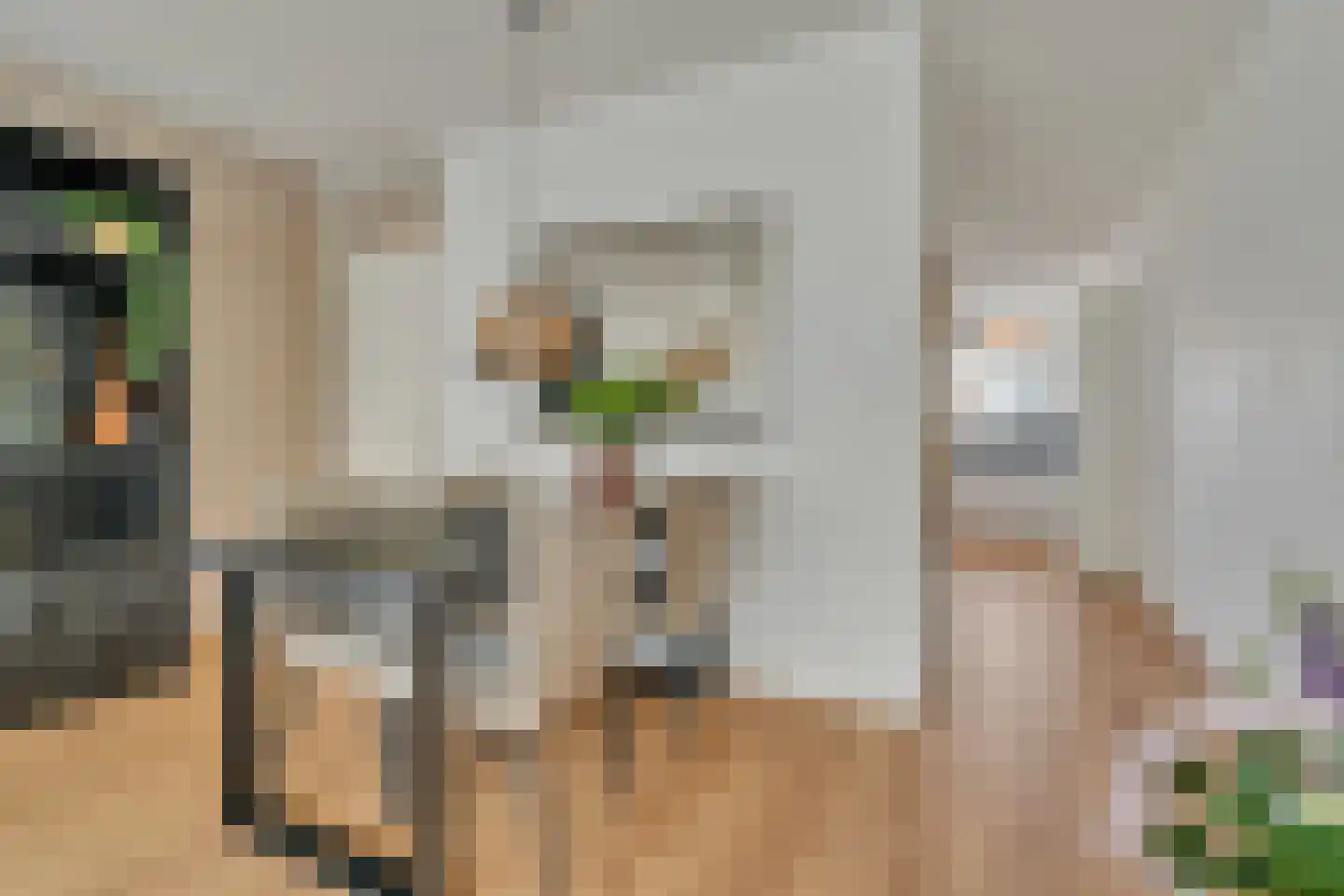 Maagjesbolwerk 75 Zwolle thumbnail 9