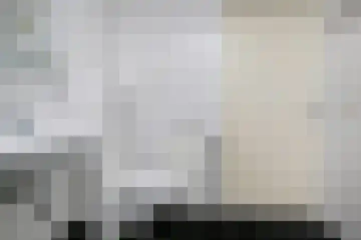 Maagjesbolwerk 95 Zwolle thumbnail 11