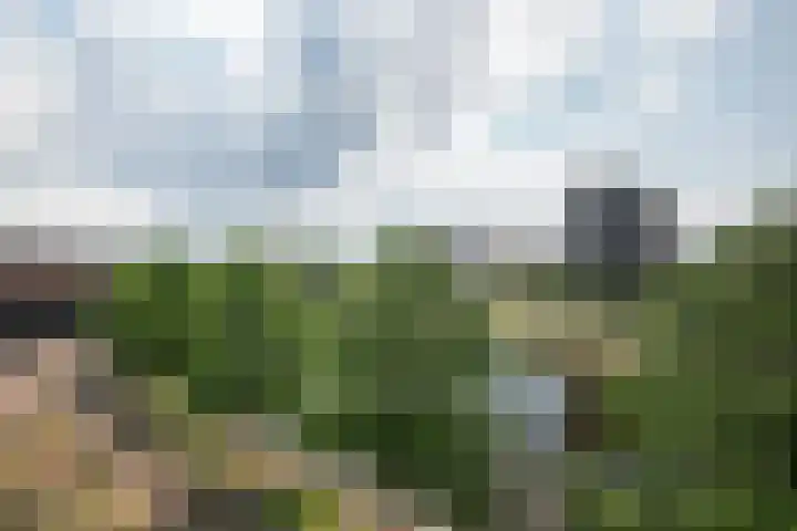Maagjesbolwerk 95 Zwolle thumbnail 18