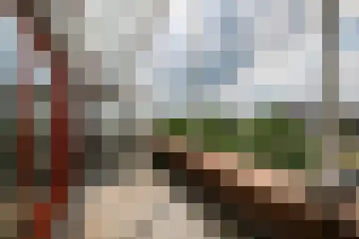 Maagjesbolwerk 95 Zwolle thumbnail 19