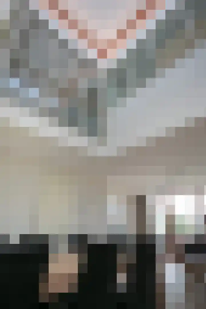 Maagjesbolwerk 95 Zwolle thumbnail 22