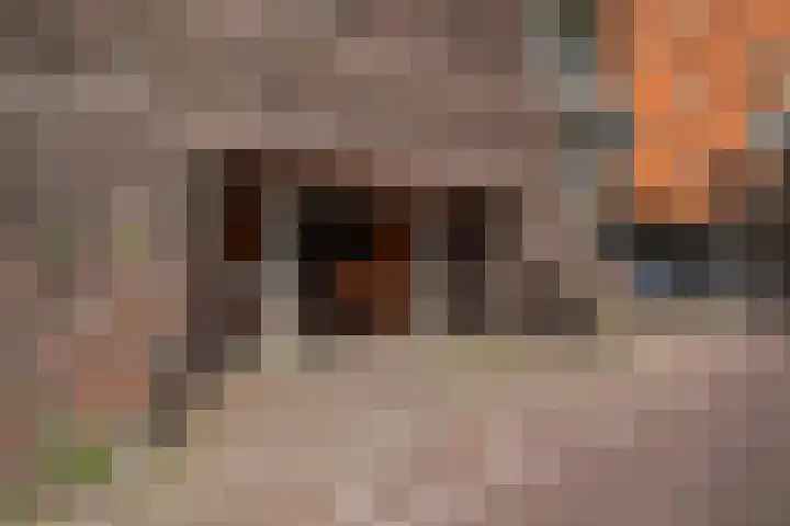 Maagjesbolwerk 95 Zwolle thumbnail 25