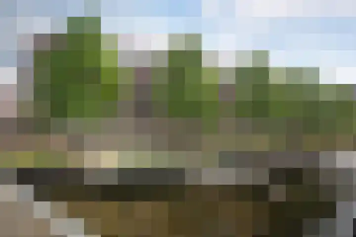 Maagjesbolwerk 95 Zwolle thumbnail 27