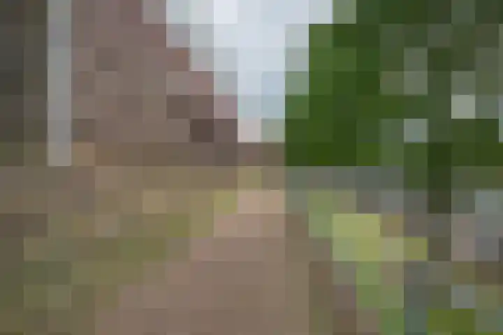 Maagjesbolwerk 95 Zwolle thumbnail 28