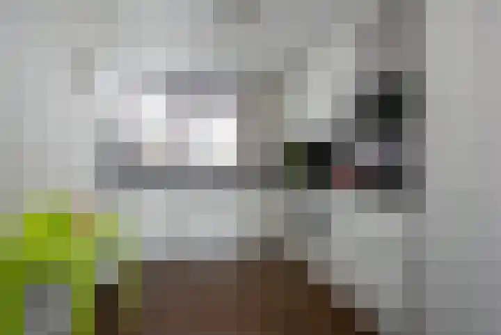 Maagjesbolwerk 95 Zwolle thumbnail 5