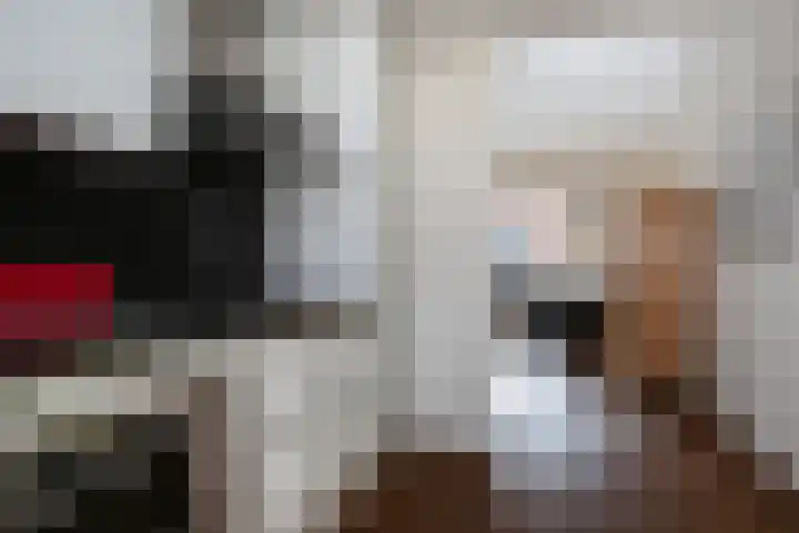 Maagjesbolwerk 95 Zwolle thumbnail 6