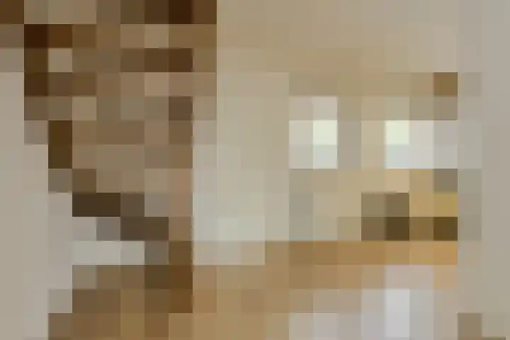 Maaibeemd 10 Breda thumbnail 12