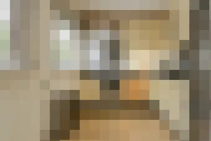 Maaibeemd 10 Breda thumbnail 13