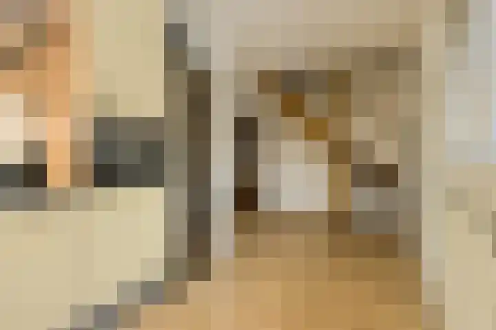 Maaibeemd 10 Breda thumbnail 16