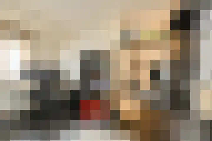 Maaibeemd 10 Breda thumbnail 27
