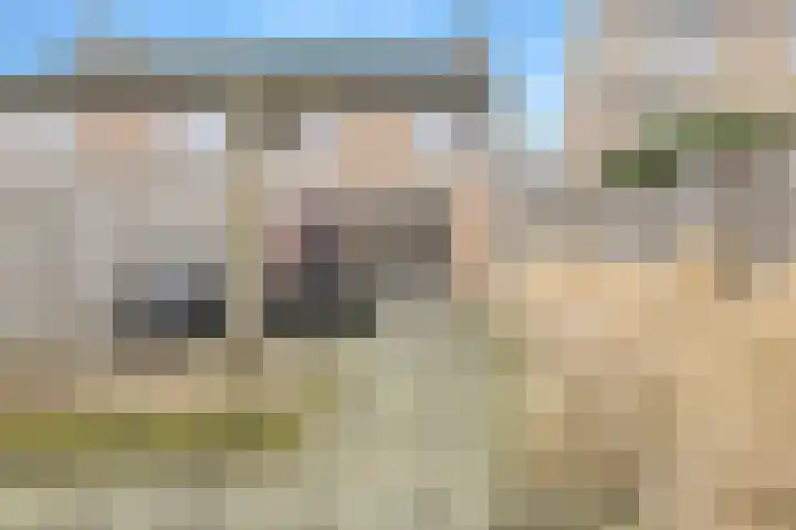 Maaibeemd 10 Breda thumbnail 37