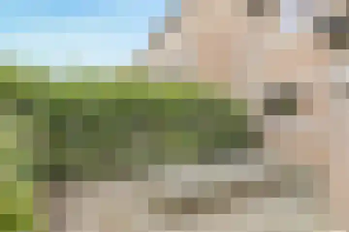 Maaibeemd 10 Breda thumbnail 39