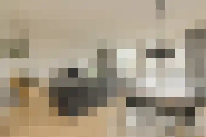 Maaibeemd 10 Breda thumbnail 4