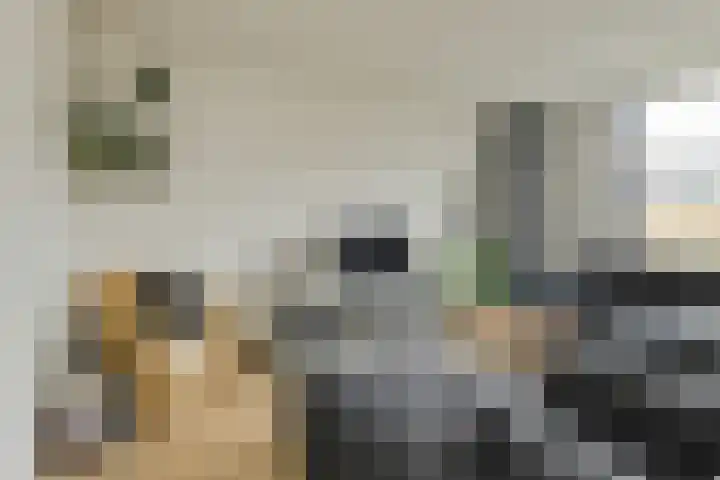 Maaibeemd 10 Breda thumbnail 5