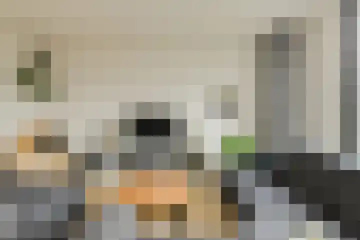 Maaibeemd 10 Breda thumbnail 9