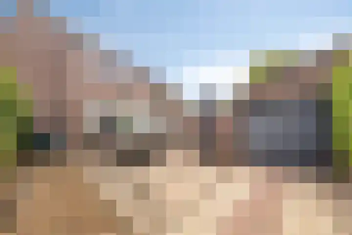 Maaibeemd 115 Breda thumbnail 18