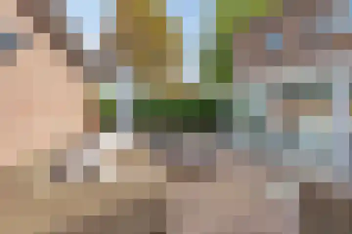 Maaibeemd 115 Breda thumbnail 19