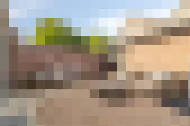 Maaibeemd 115 Breda thumbnail 21