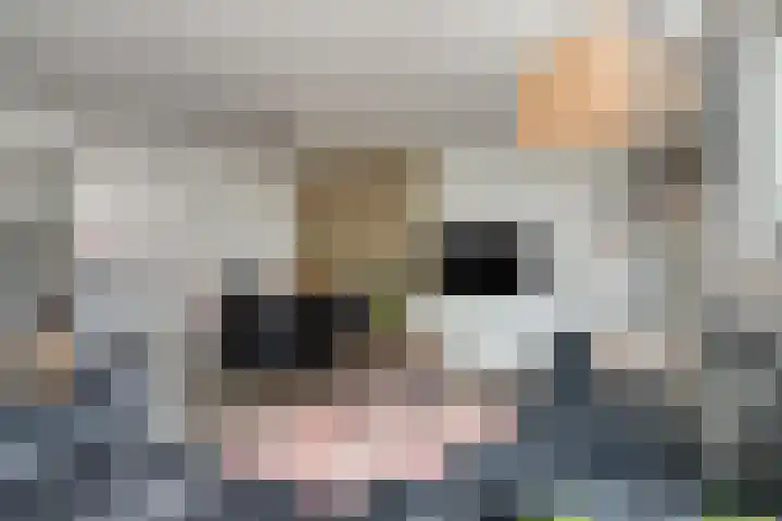Maaibeemd 115 Breda thumbnail 4