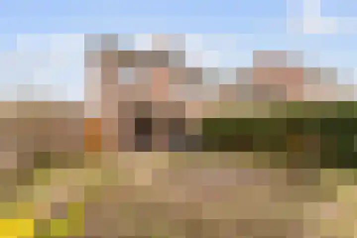 Maaibeemd 48 Breda thumbnail 29