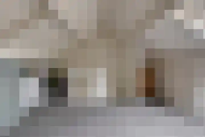 Maaibeemd 78 Breda thumbnail 25