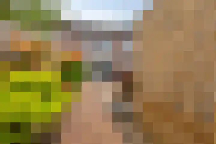 Maaibeemd 78 Breda thumbnail 27