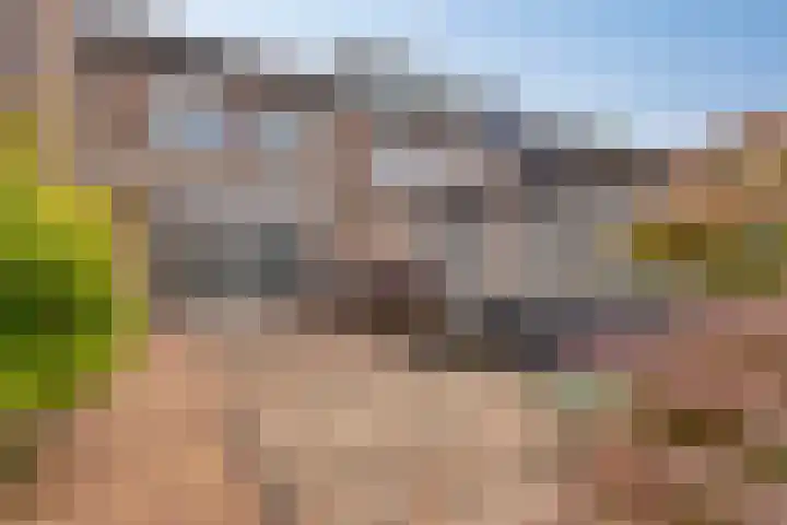Maaibeemd 78 Breda thumbnail 28