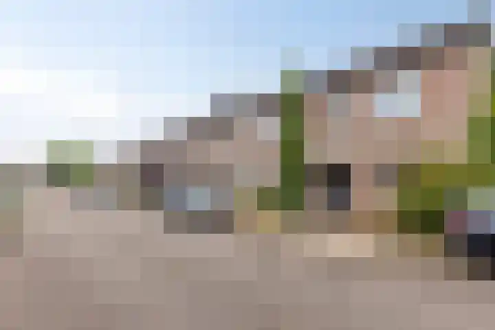 Maaibeemd 78 Breda thumbnail 31