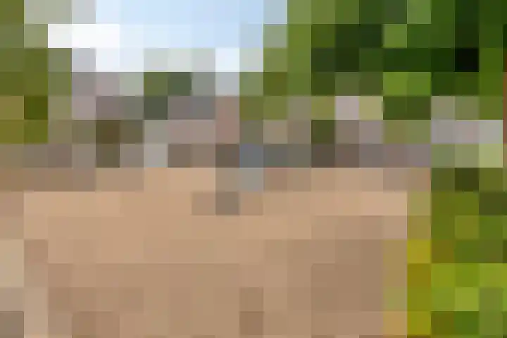 Maaibeemd 78 Breda thumbnail 32