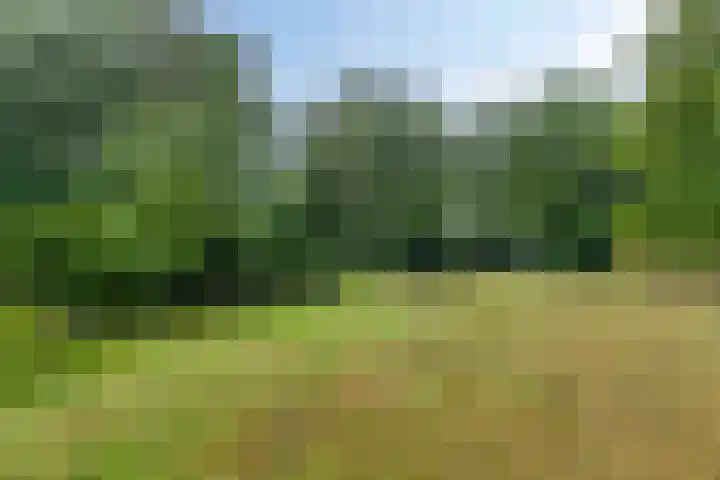 Maaibeemd 78 Breda thumbnail 33