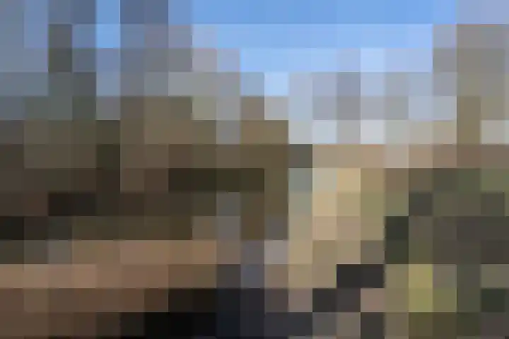 Maaibeemd 88 Breda thumbnail 35
