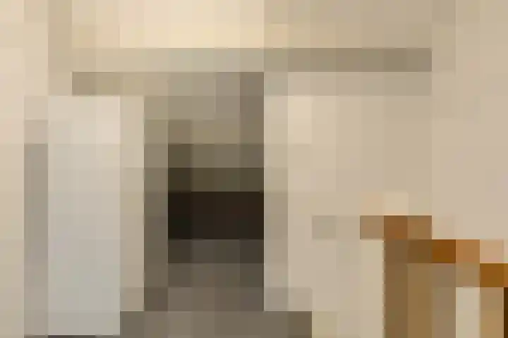 Maaibeemd 93 Breda thumbnail 30