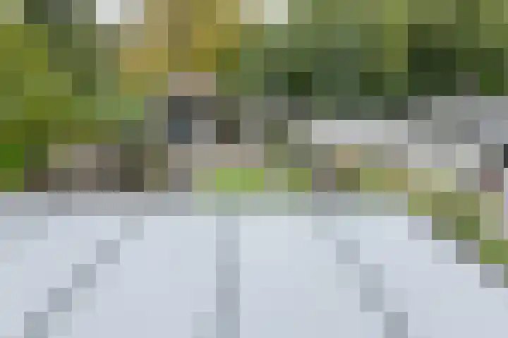 Maaibeemd 93 Breda thumbnail 31