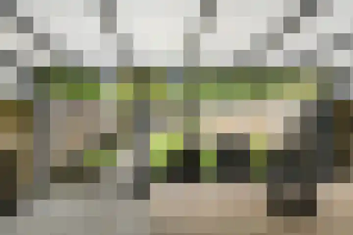 Maaibeemd 93 Breda thumbnail 32