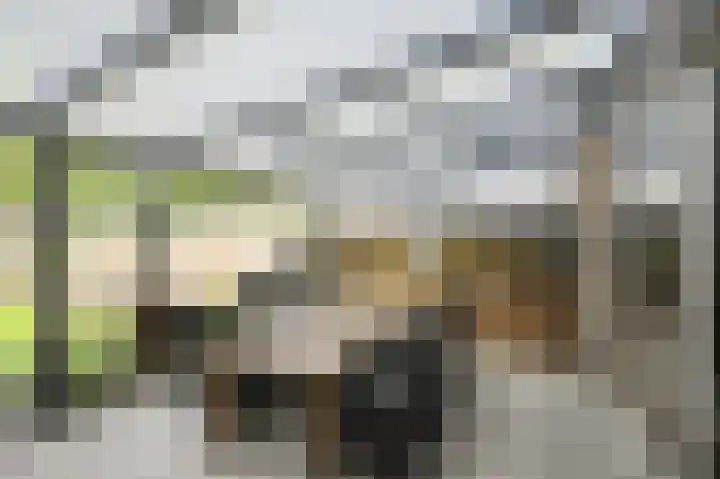 Maaibeemd 93 Breda thumbnail 33