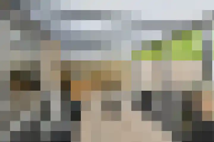 Maaibeemd 93 Breda thumbnail 34