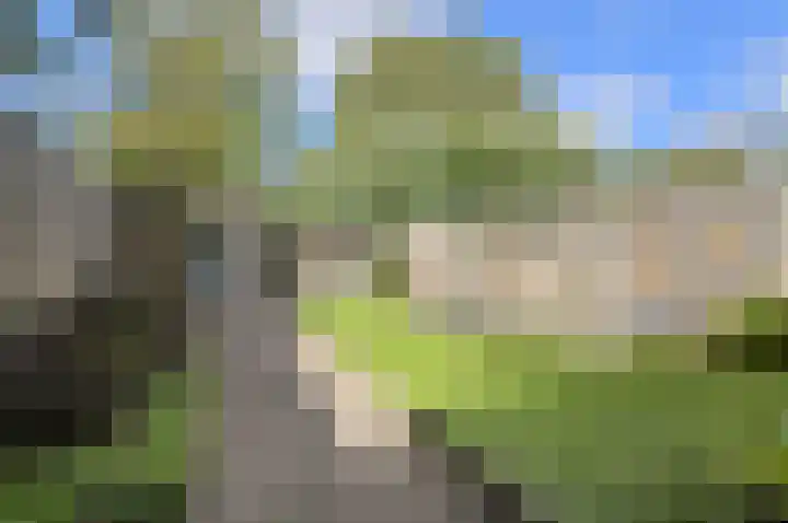Maaibeemd 93 Breda thumbnail 35