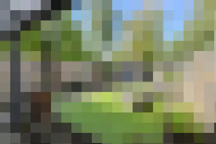 Maaibeemd 93 Breda thumbnail 36