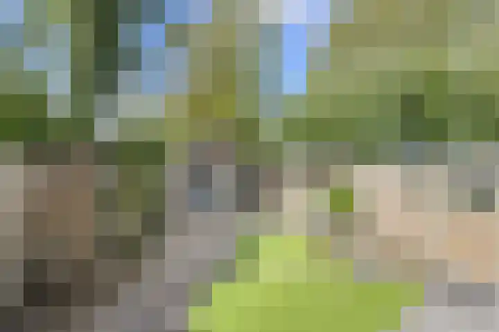 Maaibeemd 93 Breda thumbnail 37