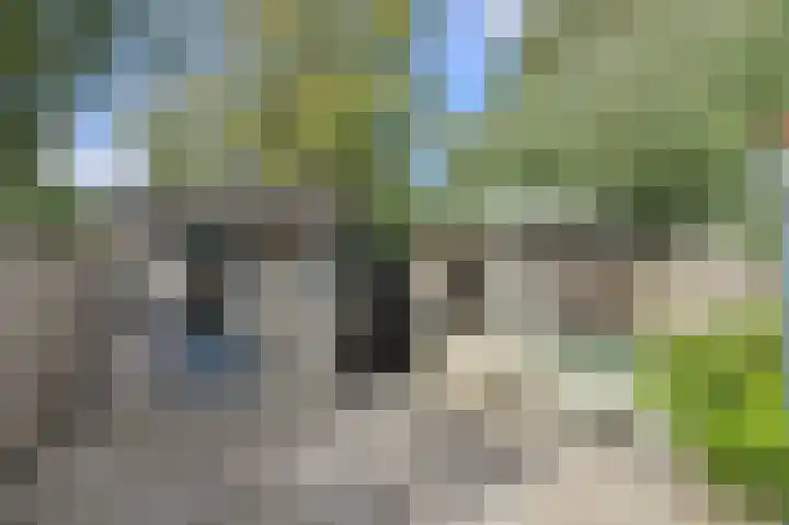 Maaibeemd 93 Breda thumbnail 38