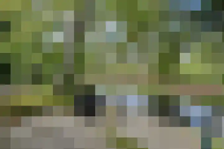 Maaibeemd 93 Breda thumbnail 39