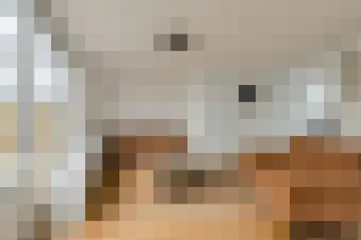 Maaibeemd 93 Breda thumbnail 4