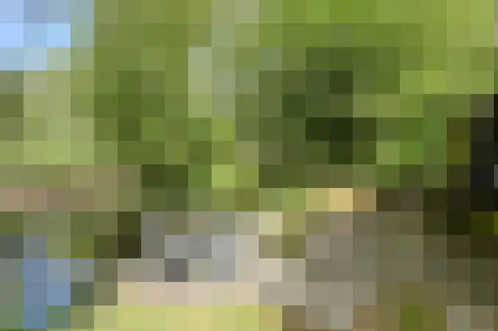 Maaibeemd 93 Breda thumbnail 40