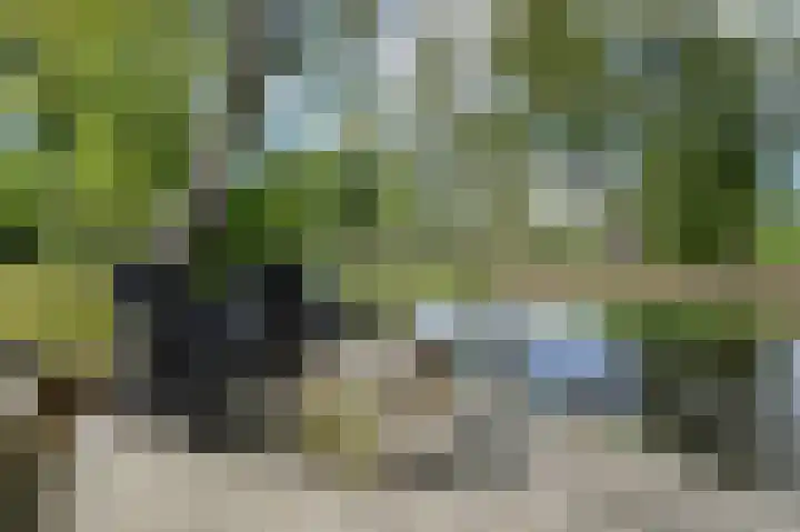 Maaibeemd 93 Breda thumbnail 41