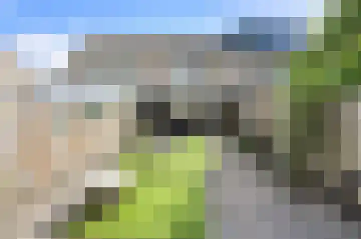 Maaibeemd 93 Breda thumbnail 43