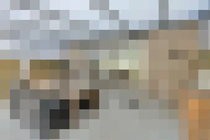 Maaibeemd 93 Breda thumbnail 45