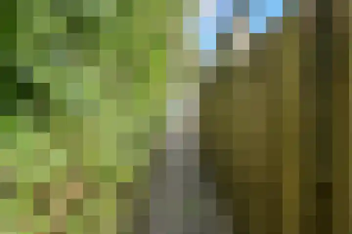 Maaibeemd 93 Breda thumbnail 46
